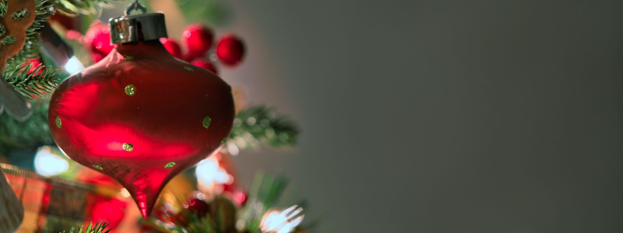 A Saviour is Born*Find out more about our Christmas events